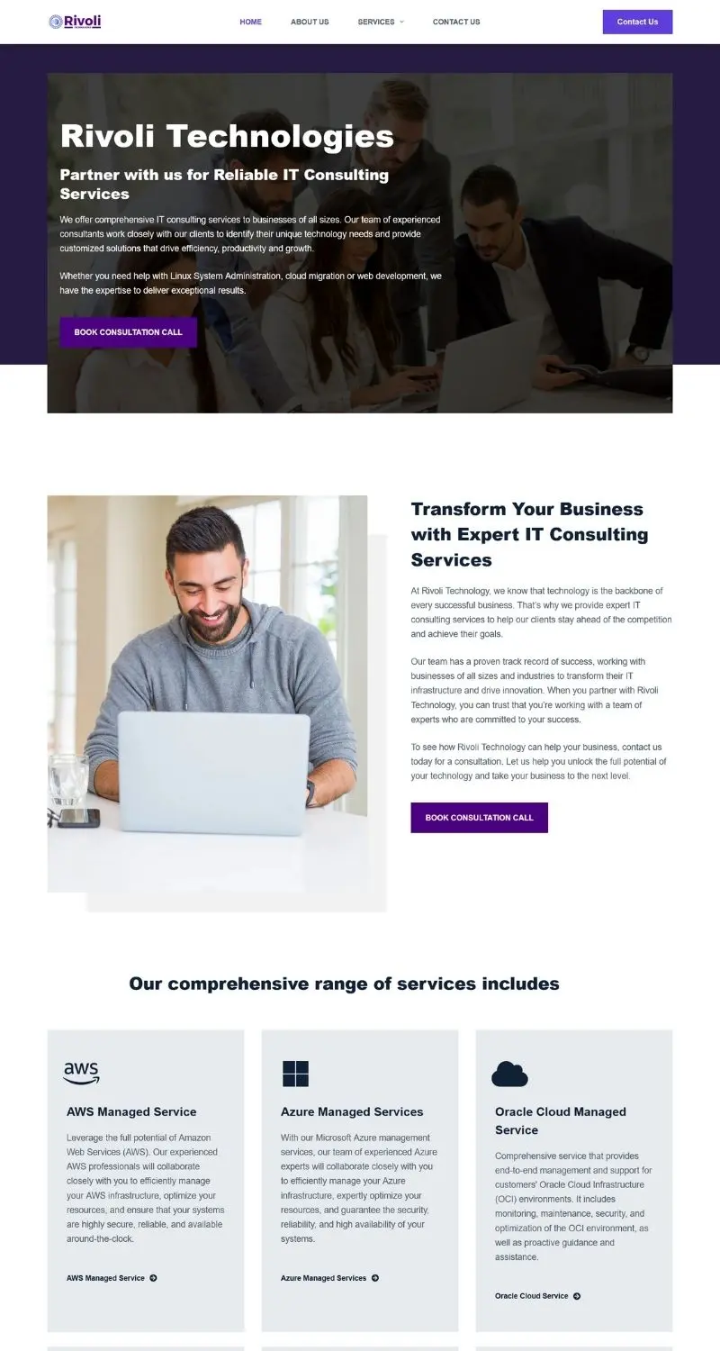Professional IT consulting services website design